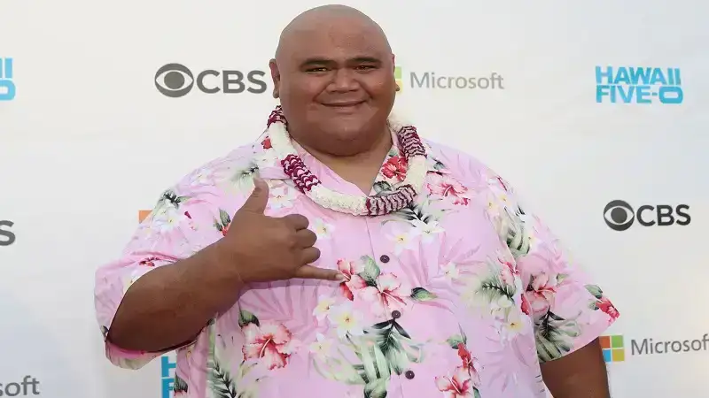 Taylor Wily Net Worth